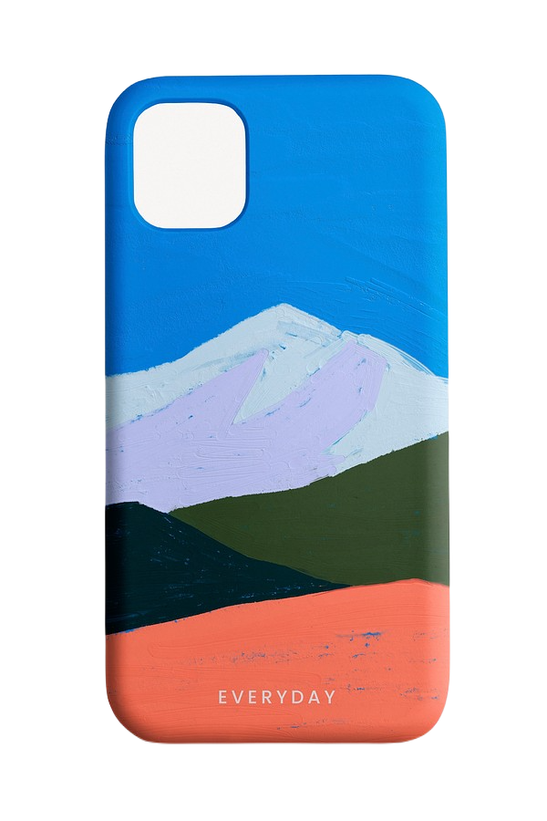 cases